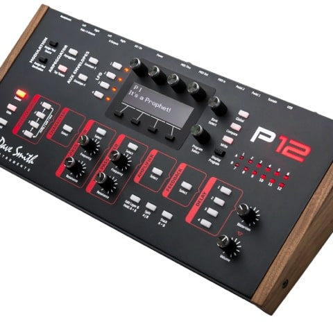 DSI P12