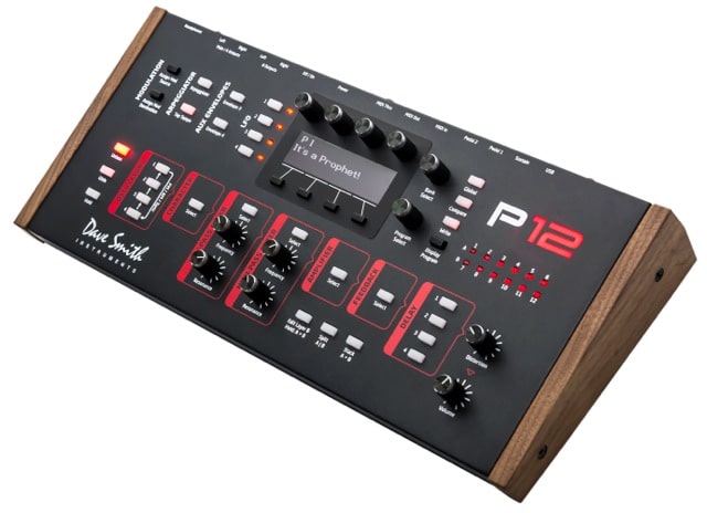 DSI P12